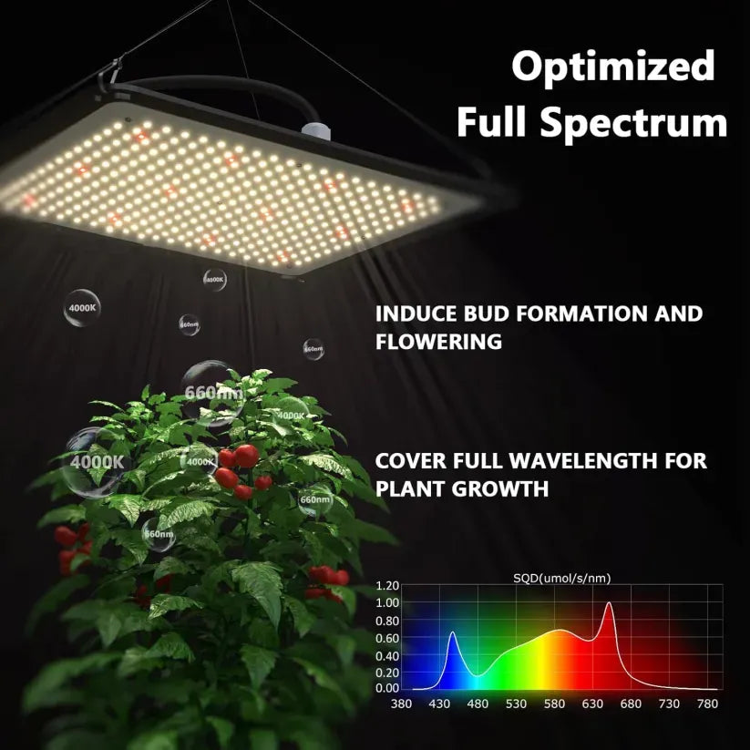 Rovikshop.de 150 W Vollspektrum-Quantenpflanzenlicht
