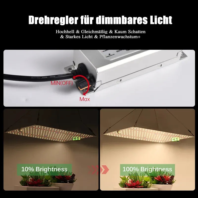Rovikshop.de 150 W Vollspektrum-Quantenpflanzenlicht