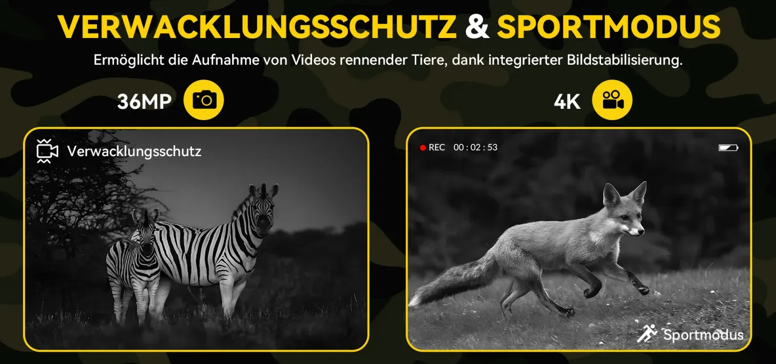 BloomEra™ N4 Nachtsichtgerät