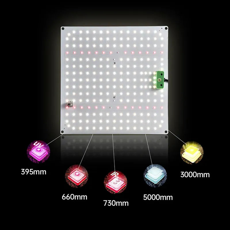 Rovikshop.de 150 W Vollspektrum-Quantenpflanzenlicht