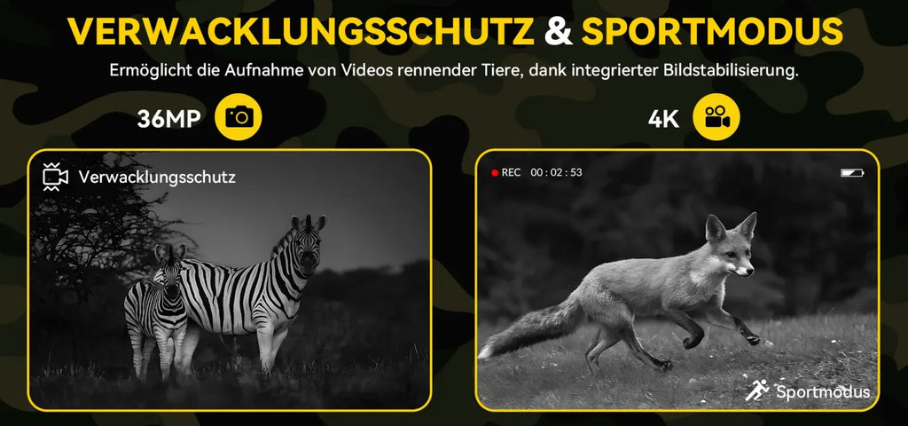 BloomEra™ N4 Nachtsichtgerät